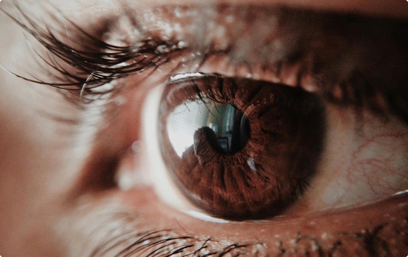 A macro close-up of a human eye with a brown iris and defined eyelashes.